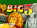 Big 5