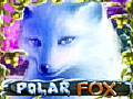 Polar Fox